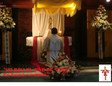 P. FRANCISCO JAVIER CALDERON. MDR